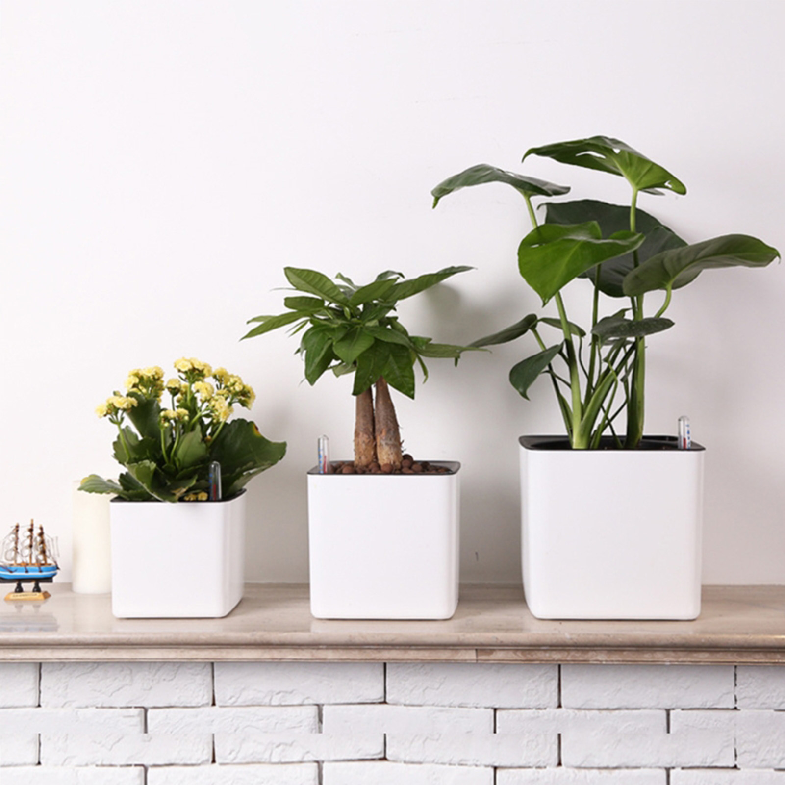 3 size Lazy flowerpot Green Pl - огляд і ціна Self Watering Insert