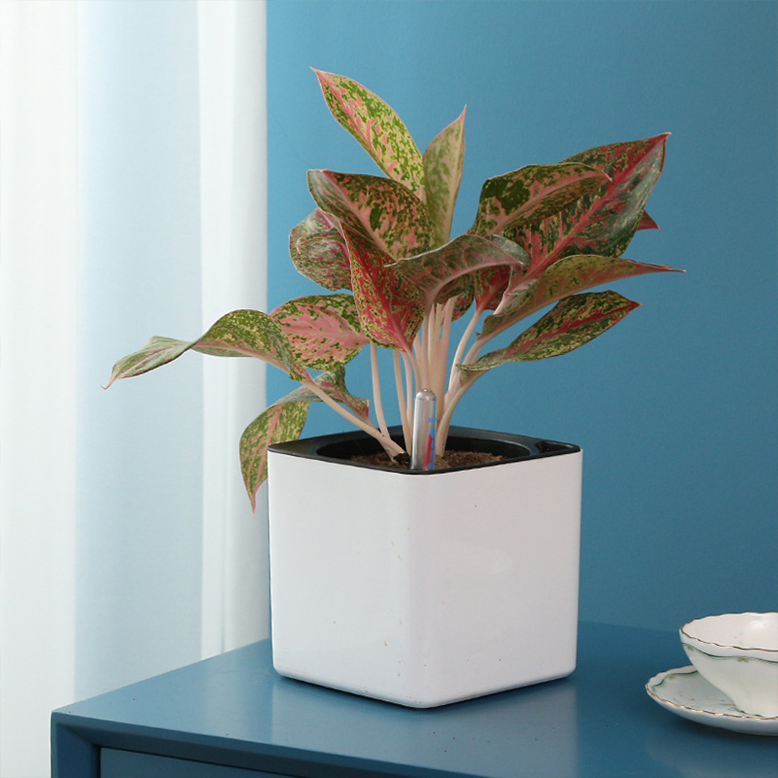 3 size Lazy flowerpot Green Pl - огляд і ціна Self Watering Insert
