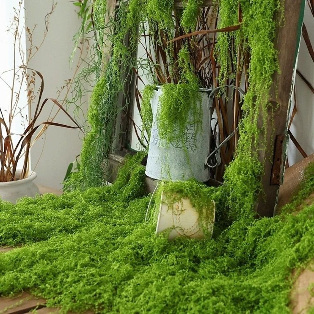 DIY Artificial Grass Rug Durab - огляд і ціна Sphagnum Moss Dry