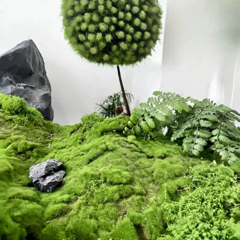DIY Artificial Grass Rug Durab - огляд і ціна Sphagnum Moss Dry
