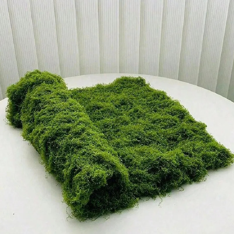 Artificial moss for micro-land - огляд і ціна Sphagnum Moss Dry